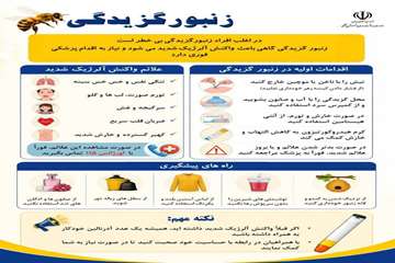 info (13)
